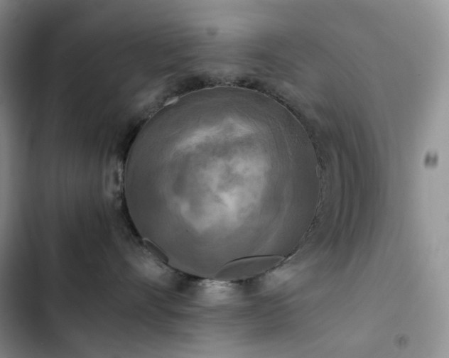 X0000102840528200808181351