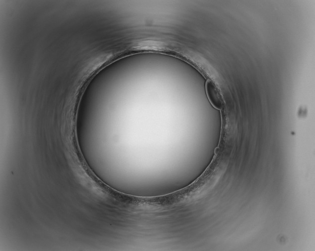 X0000102840529200808181350