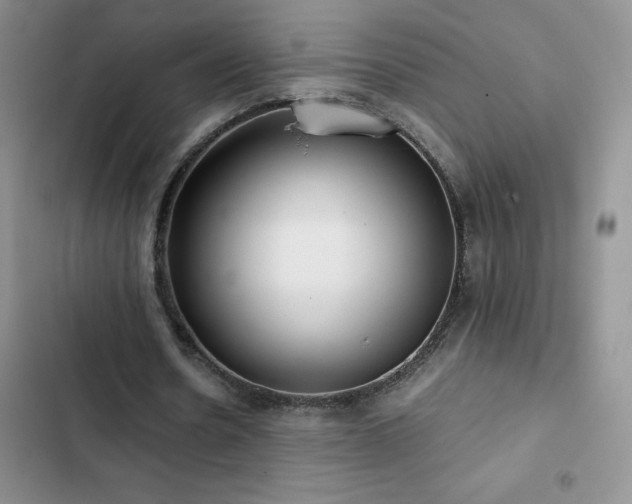 X0000102840530200808181350