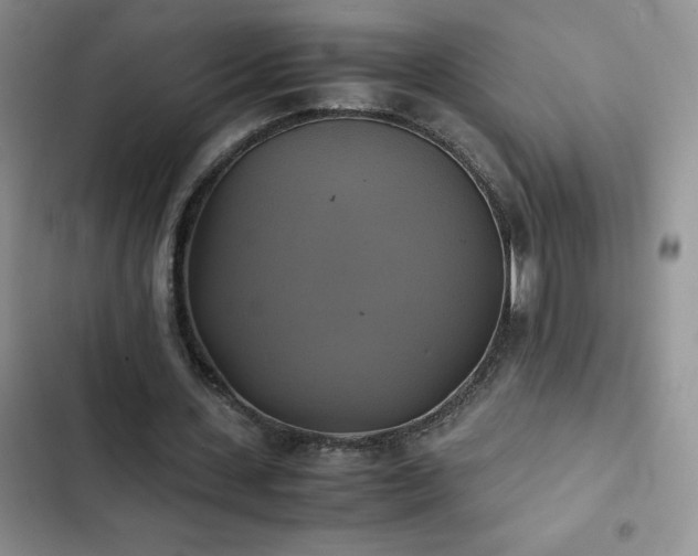 X0000102840531200808181350