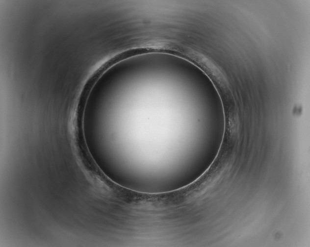 X0000102840532200808181350