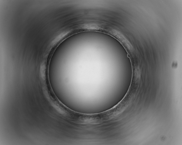 X0000102840533200808181350