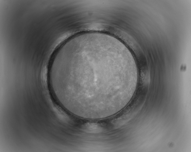 X0000102840534200808181350