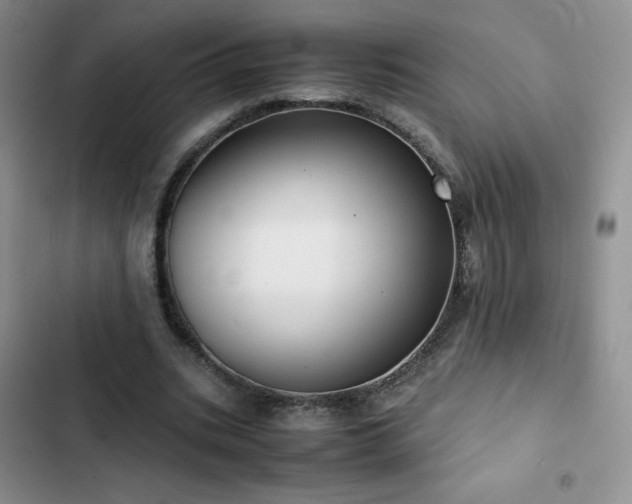 X0000102840535200808181350