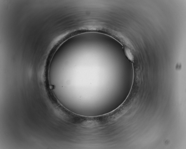 X0000102840536200808181350