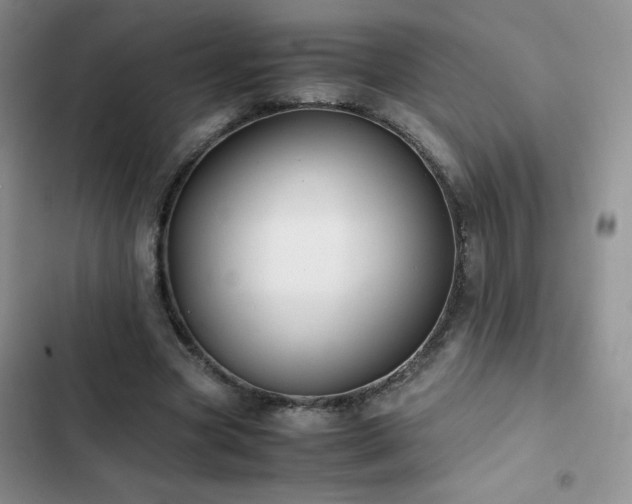 X0000102840537200808181350