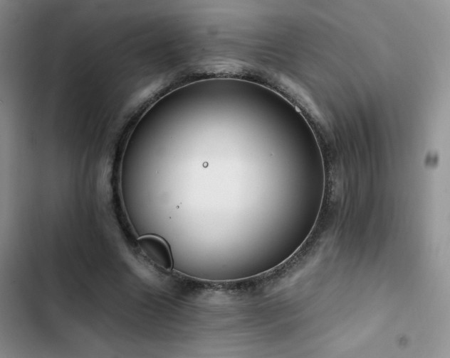 X0000102840538200808181350