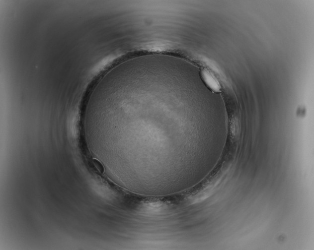 X0000102840540200808181350