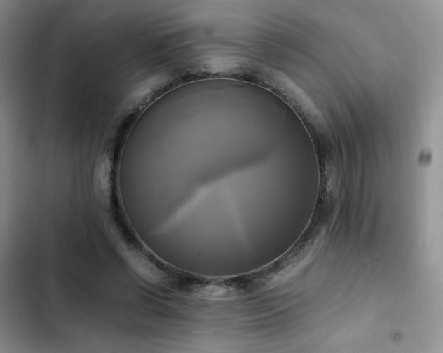 X0000102840542200808181350