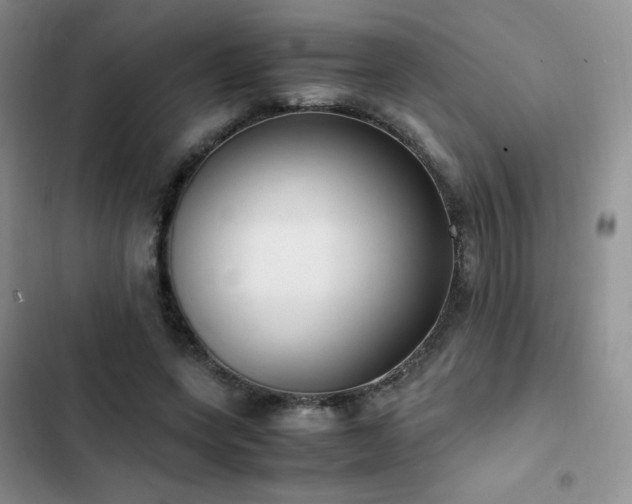 X0000102840543200808181350