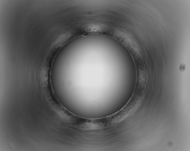 X0000102840545200808181350