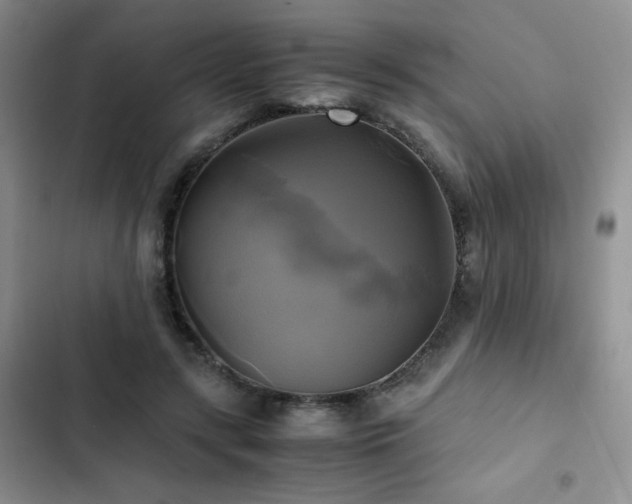 X0000102840547200808181351