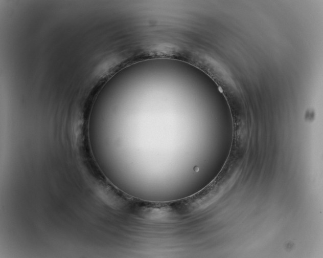 X0000102840548200808181351