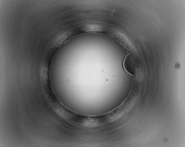 X0000102840549200808181351