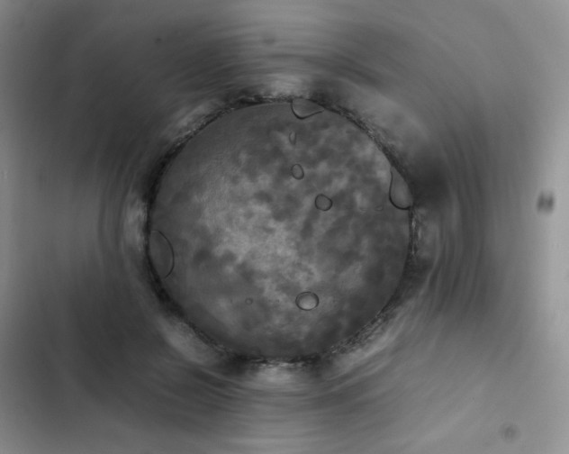 X0000102840550200808181351