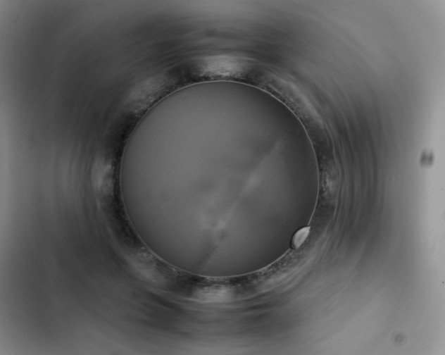 X0000102840551200808181351