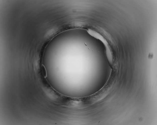 X0000102840552200808181351