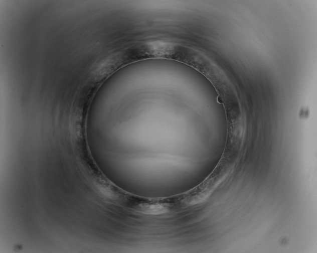 X0000102840553200808181351