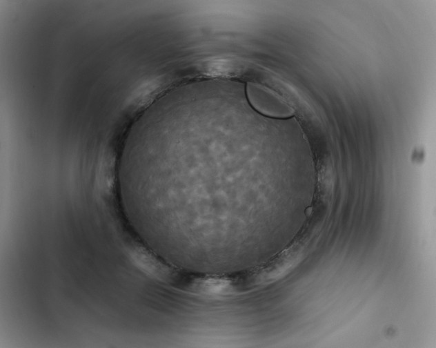 X0000102840554200808181351