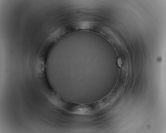 X0000102840555200808181351