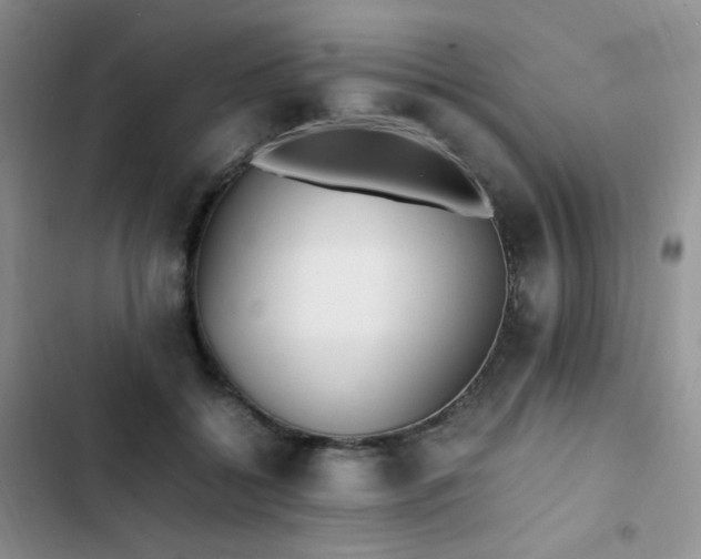 X0000102840556200808181351