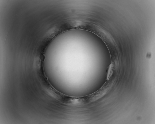 X0000102840558200808181351