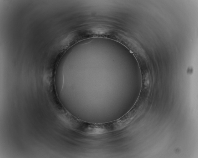 X0000102840559200808181351