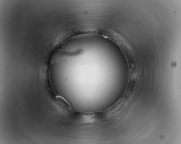 X0000102840560200808181351