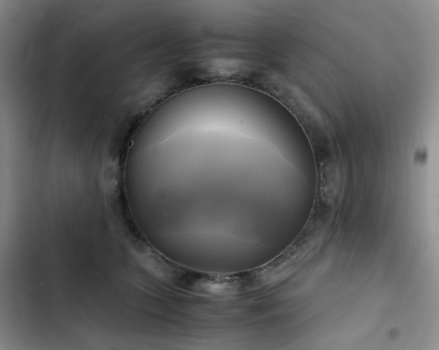 X0000102840563200808181351