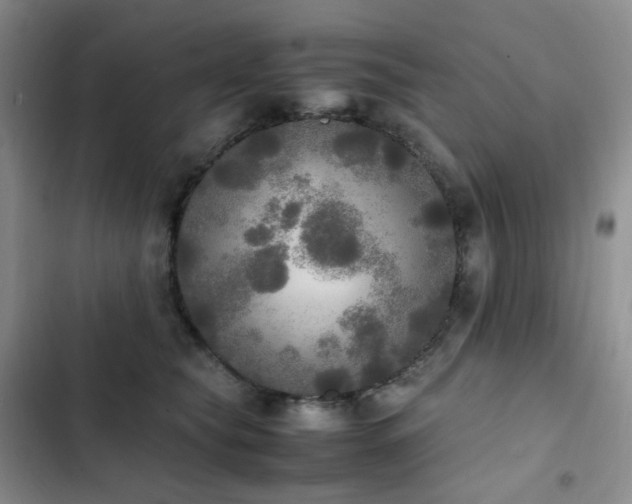 X0000102840565200808181351