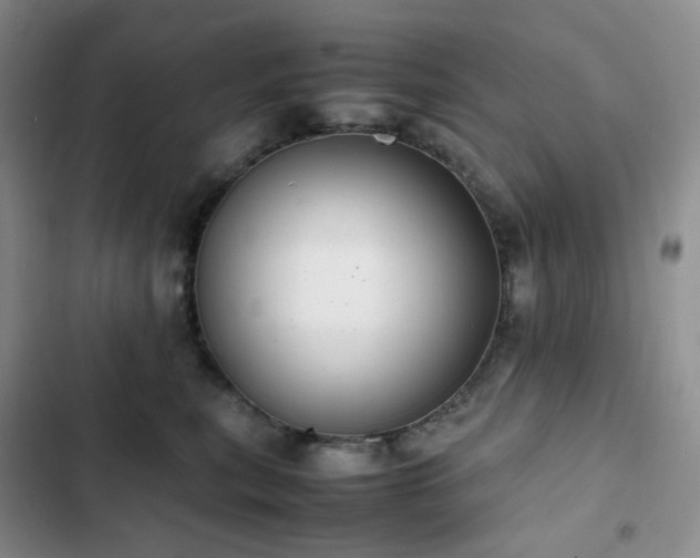 X0000102840567200808181351