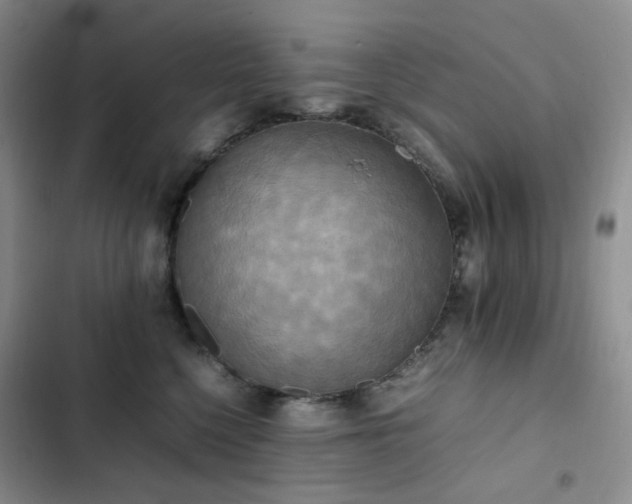 X0000102840568200808181351