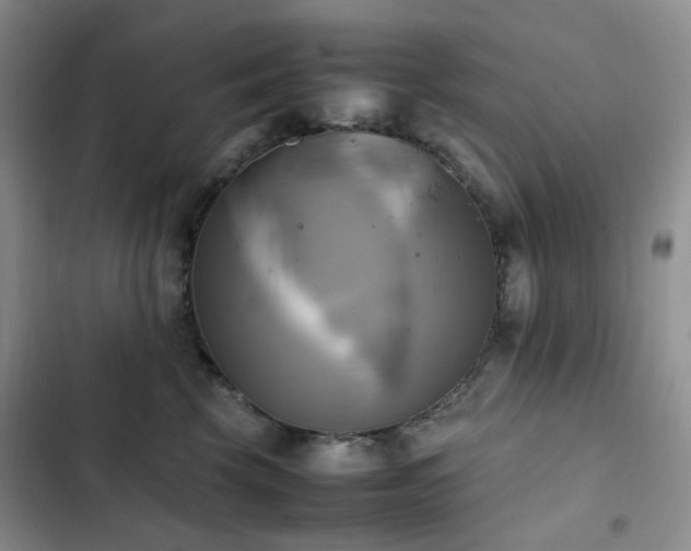 X0000102840569200808181351