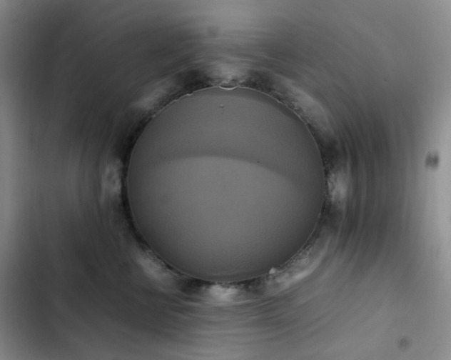 X0000102840570200808181351