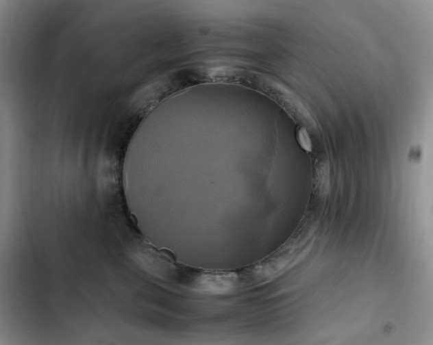 X0000102840571200808181351