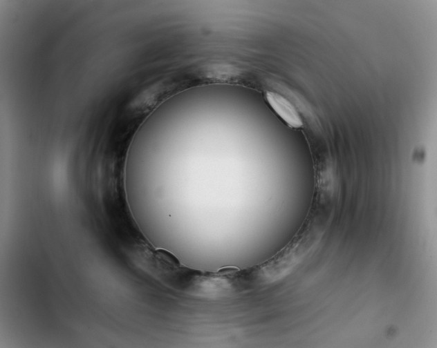 X0000102840572200808181351