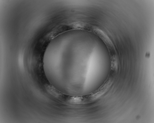 X0000102840573200808181351