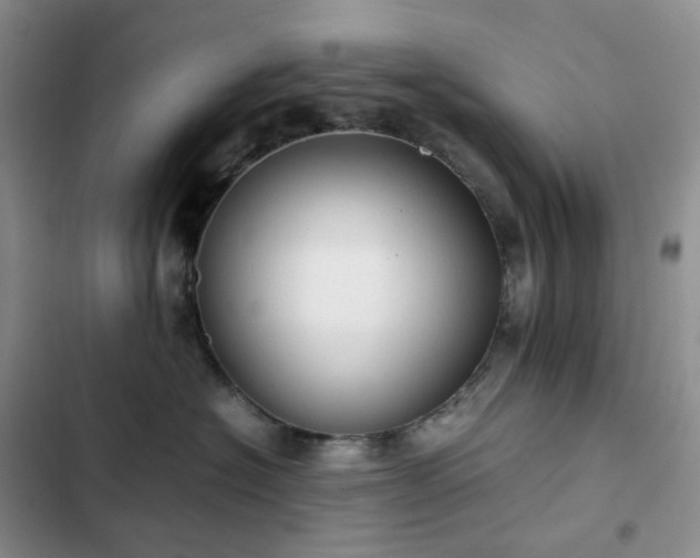 X0000102840574200808181351