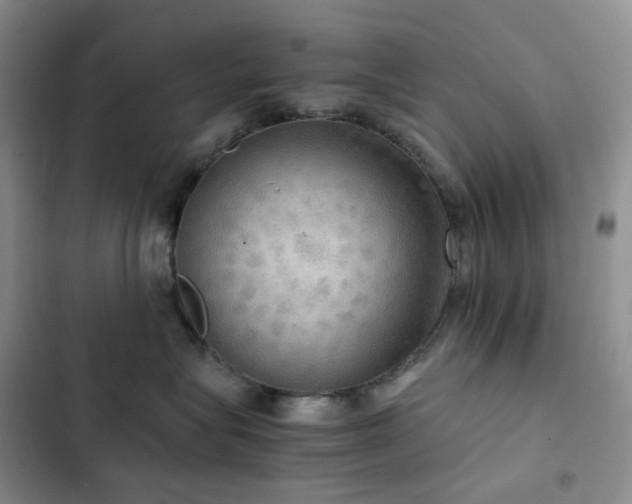 X0000102840575200808181351