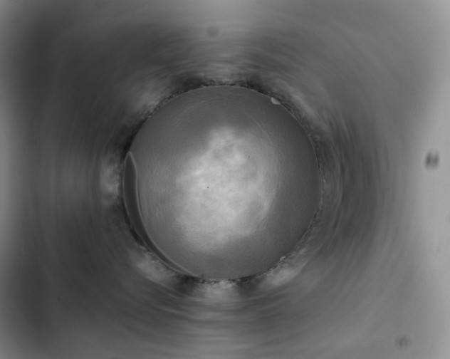 X0000102840576200808181351