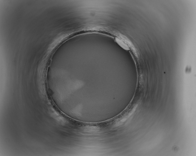 X0000102840577200808181350