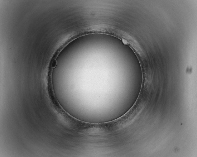 X0000102840578200808181350