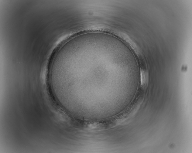 X0000102840579200808181350