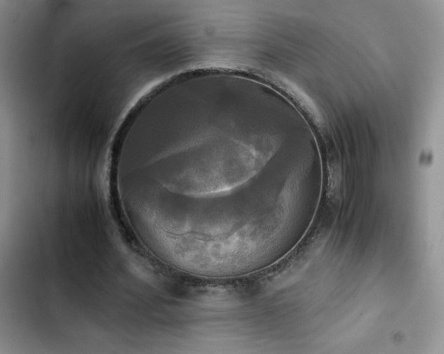 X0000102840580200808181350