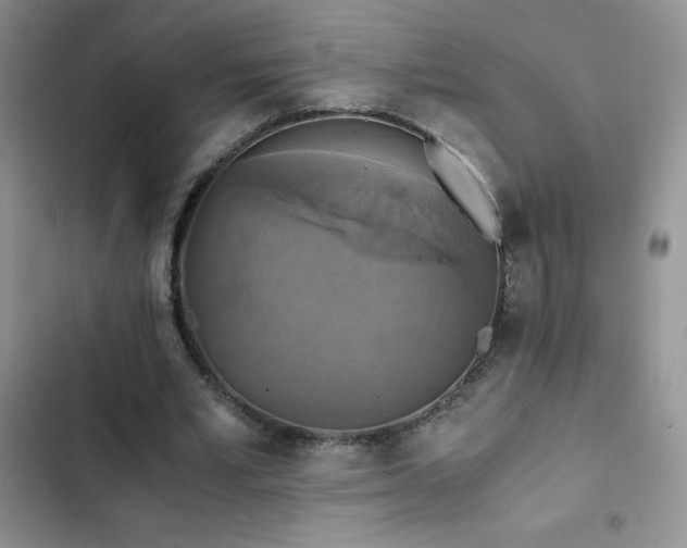 X0000102840581200808181350