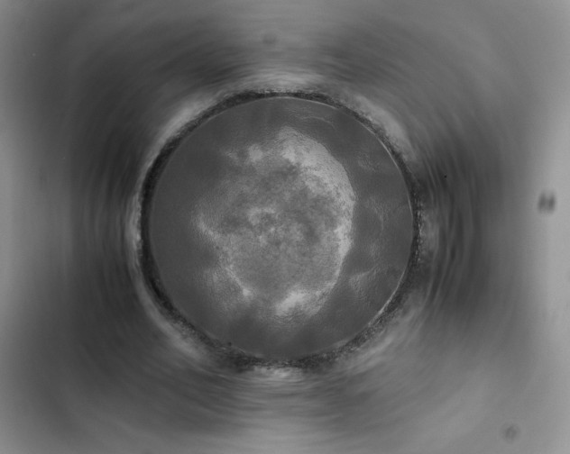 X0000102840582200808181350