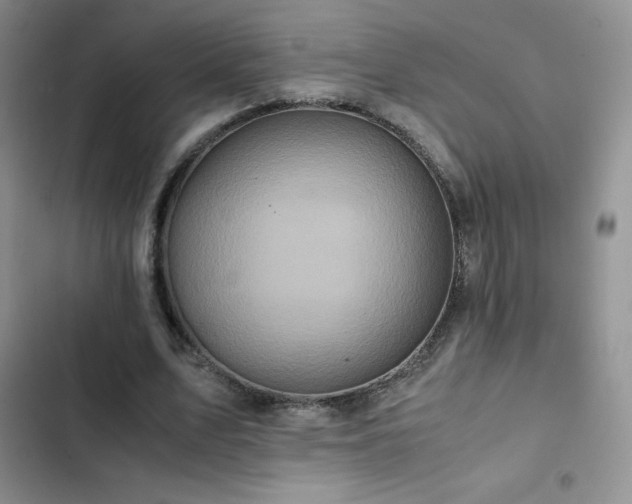 X0000102840583200808181350