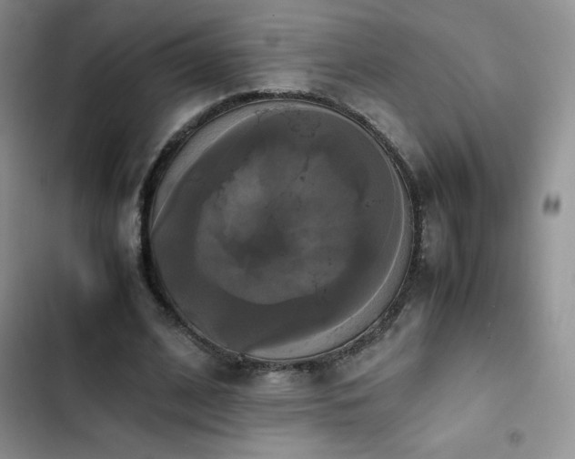 X0000102840584200808181350