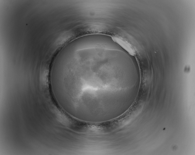 X0000102840585200808181350