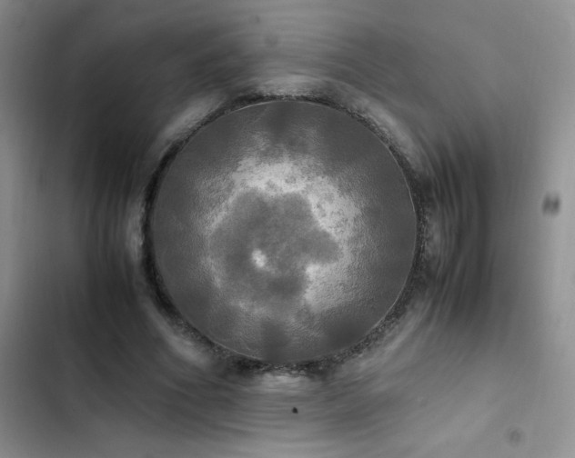 X0000102840586200808181350